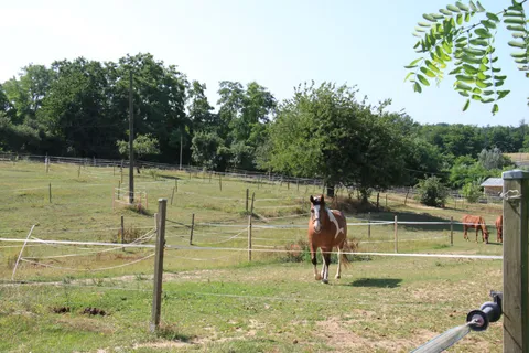 Cheval au Paradis du Cheval