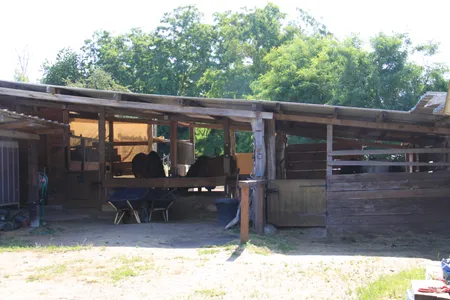 Paradis du Cheval - Photo 11