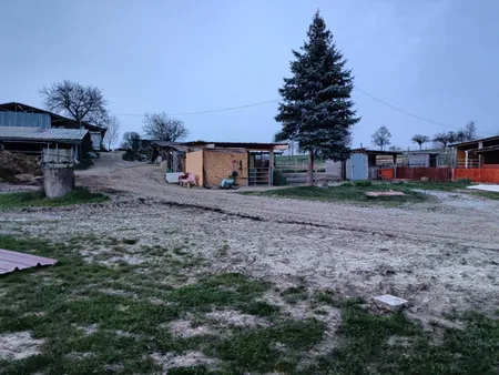 Paradis du Cheval - Photo 17