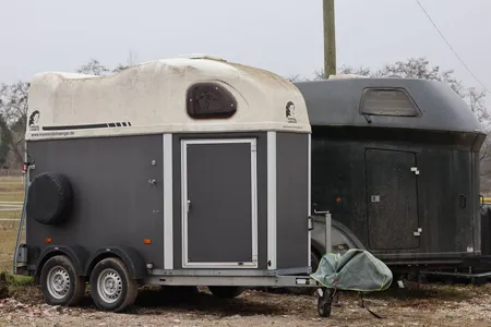 Paradis du Cheval - Photo 18